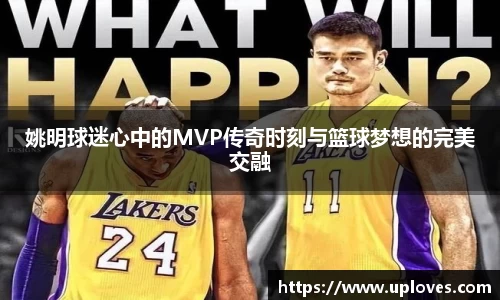 姚明球迷心中的MVP传奇时刻与篮球梦想的完美交融